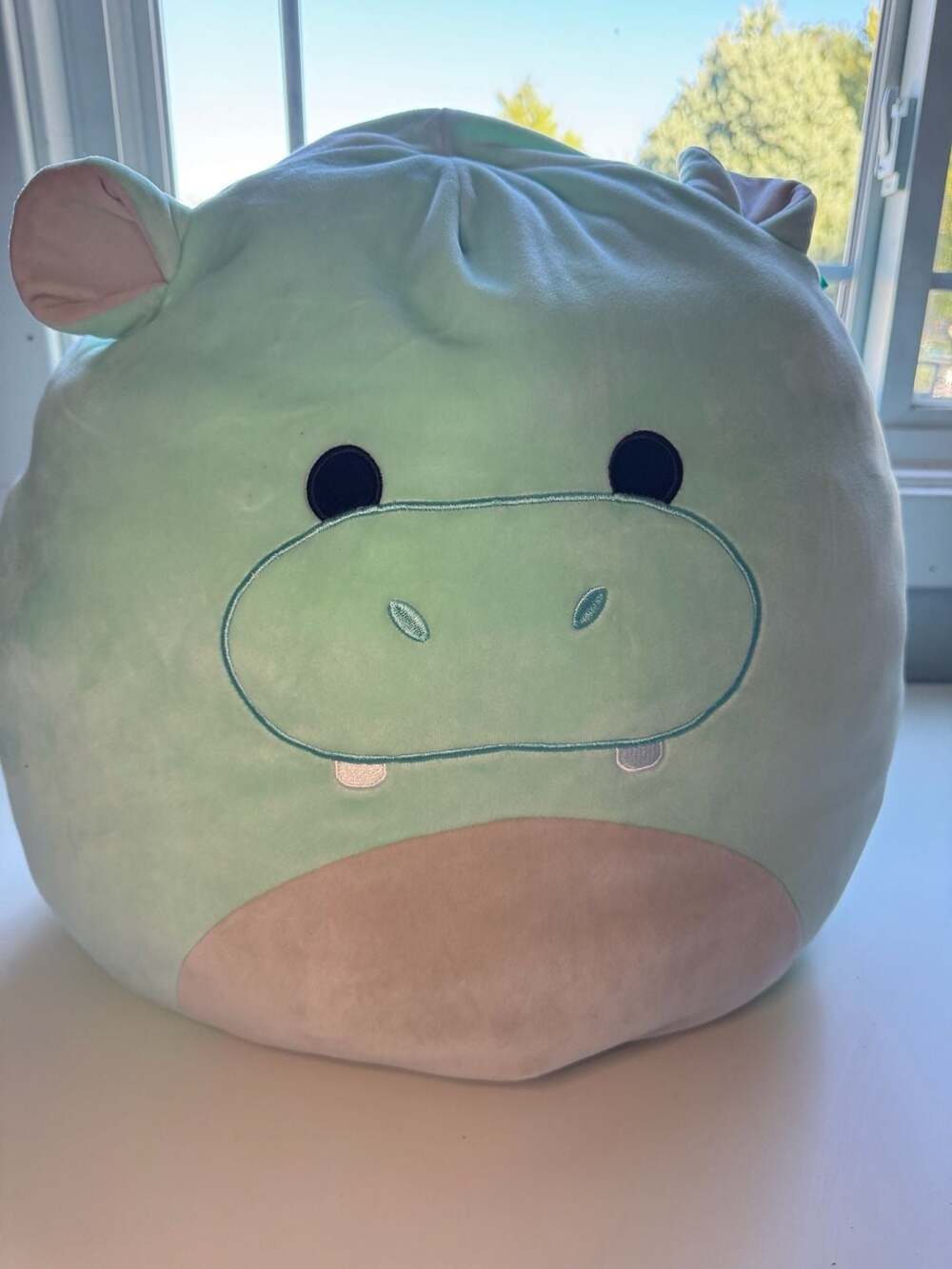 Squishmallows Hank The Hippo Green Stuffed Animal Plush Toy